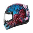 Picture of Icon Alliance Helmet